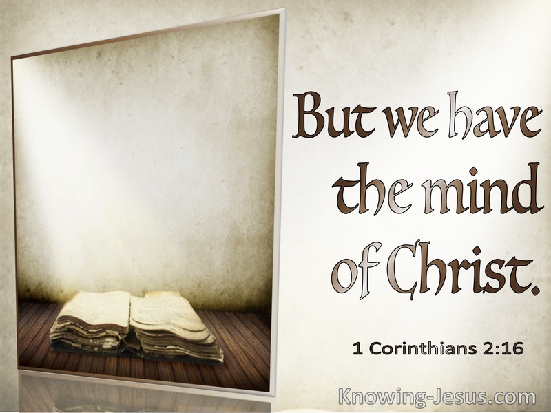 1 Corinthians 2:16 But We Have The Mind Of Christ (brown)